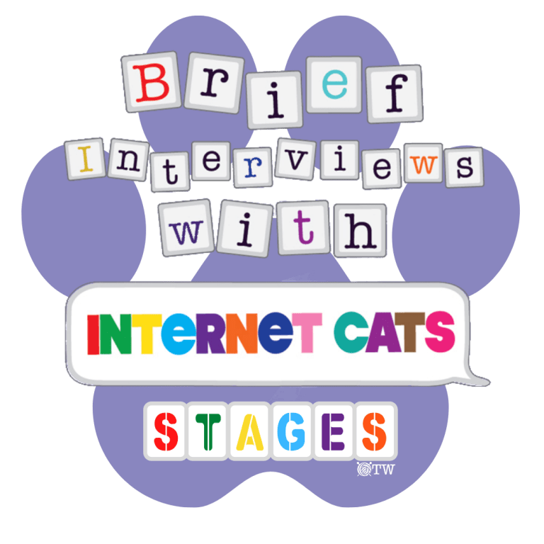 Brief Interviews with Internet Cats
